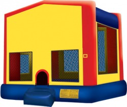 Large Bouncer w/ Hoop